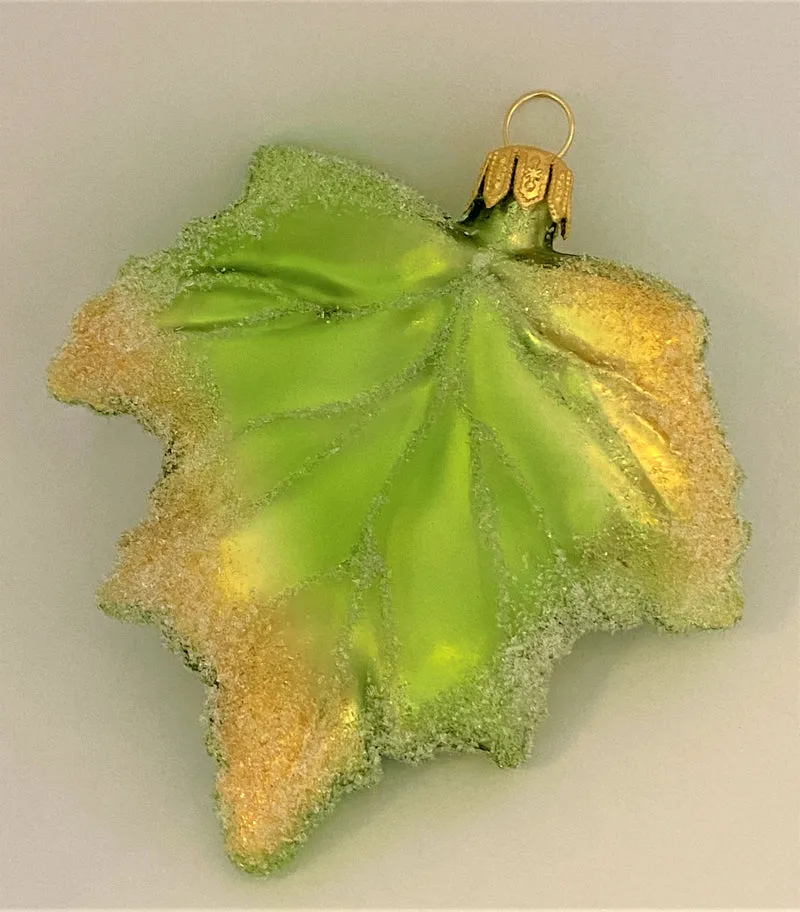 Grün goldenes Johannisbeeren-Blatt