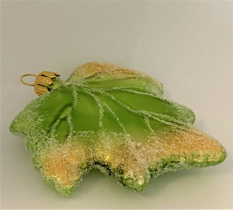 Grün goldenes Johannisbeeren-Blatt