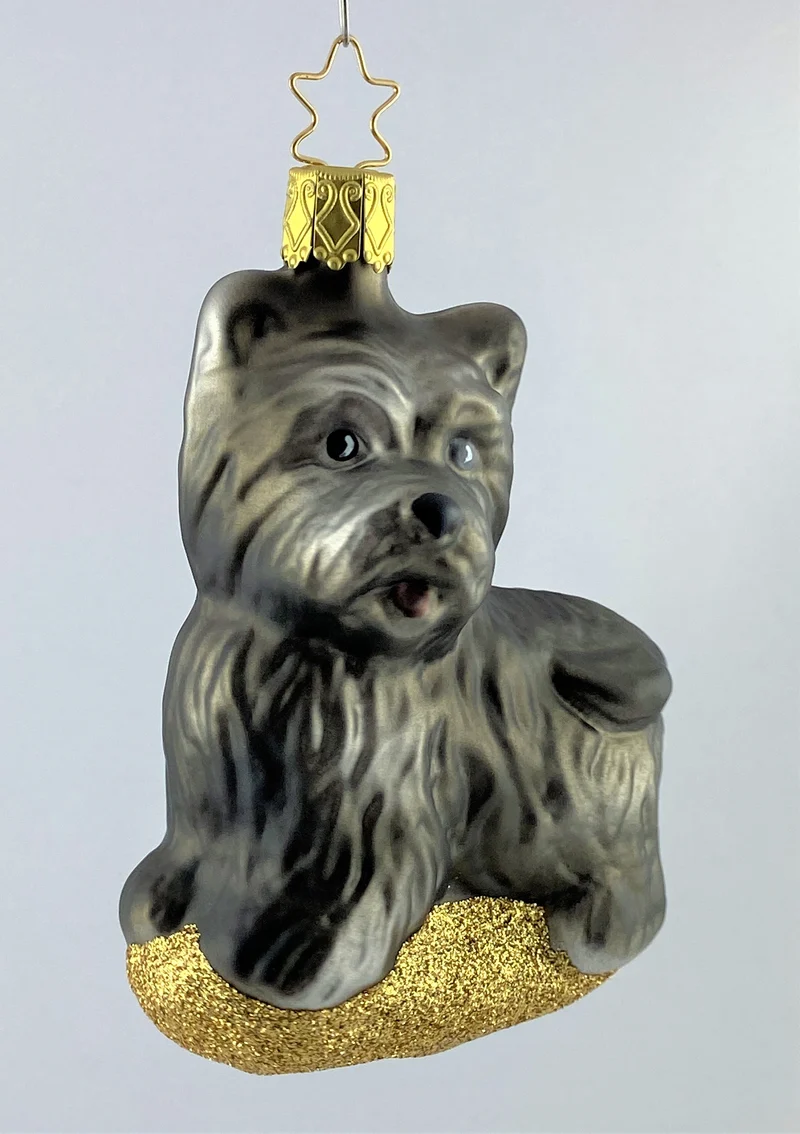 Scottish Terrier