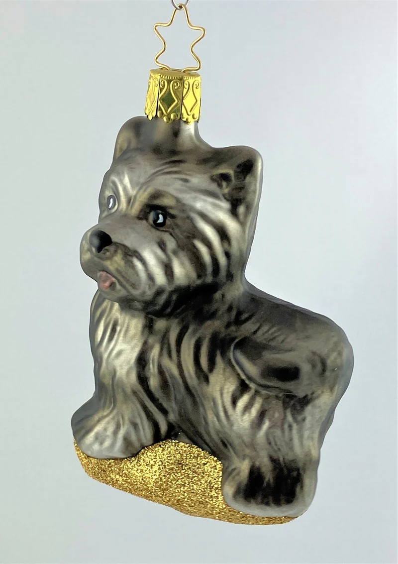 Scottish Terrier