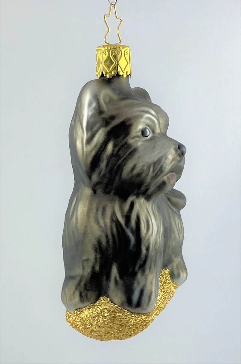 Scottish Terrier
