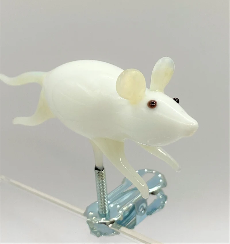 Maus auf Clip