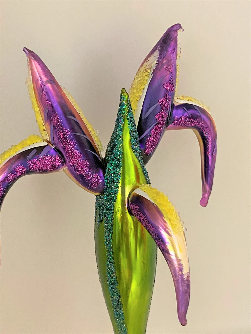 Violette Iris auf Clip