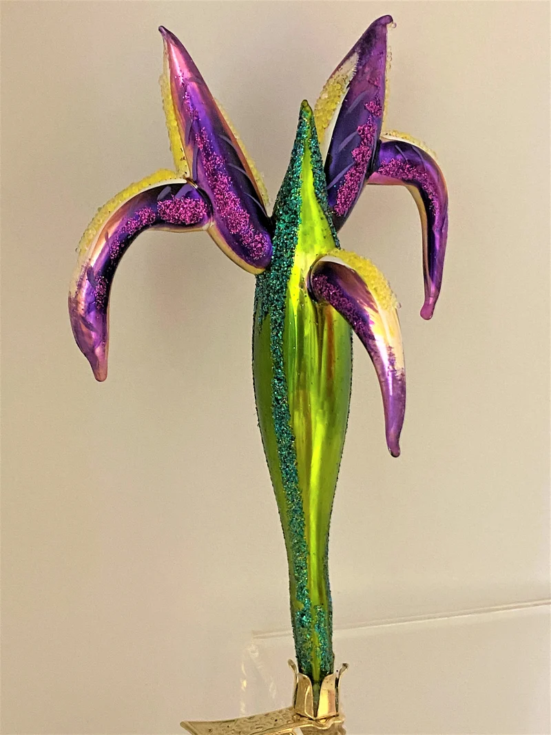 Violette Iris auf Clip