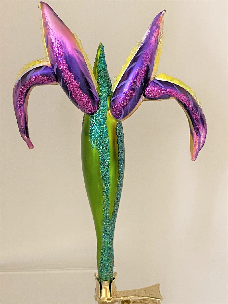 Violette Iris auf Clip