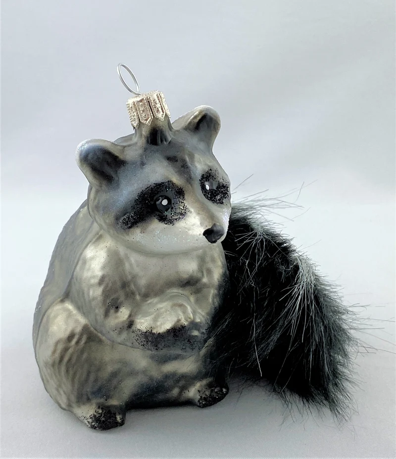 Waschbär mit buschigem Schwanz