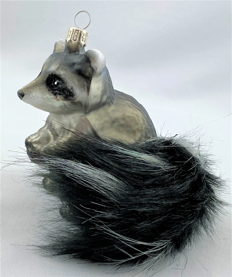 Waschbär mit buschigem Schwanz