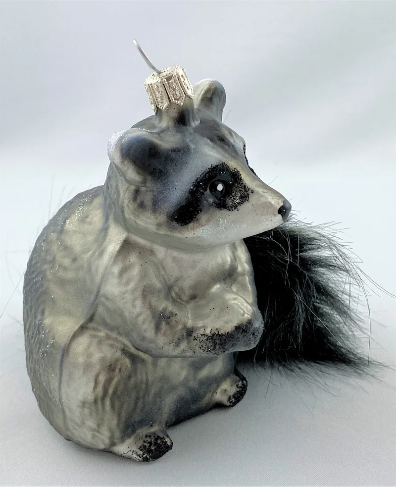Waschbär mit buschigem Schwanz
