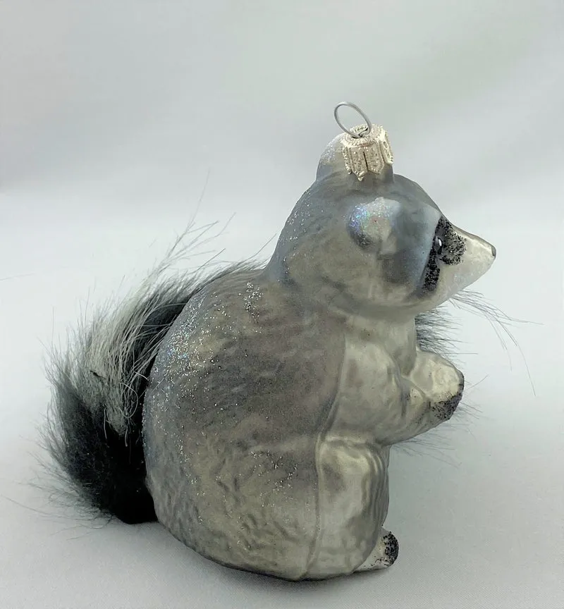 Waschbär mit buschigem Schwanz