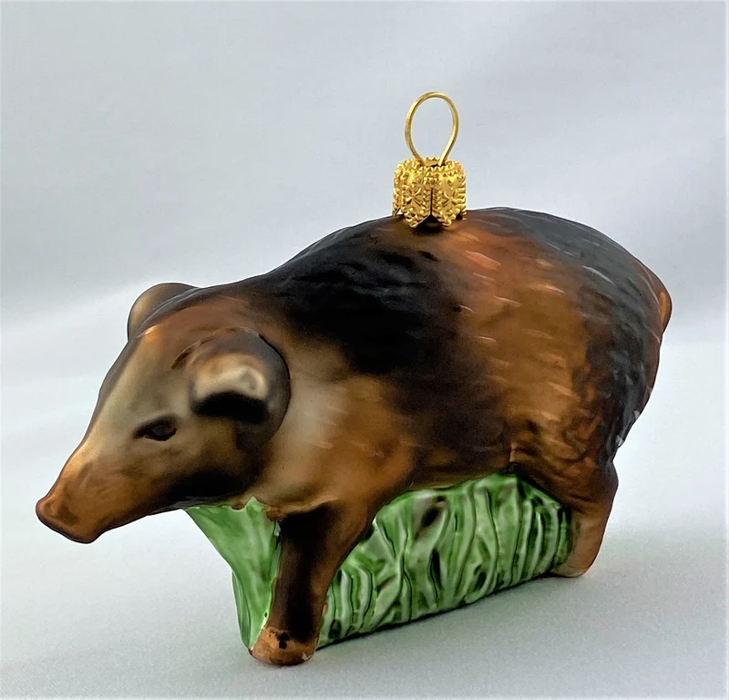 Braunes Wildschwein