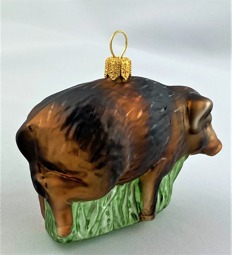Braunes Wildschwein