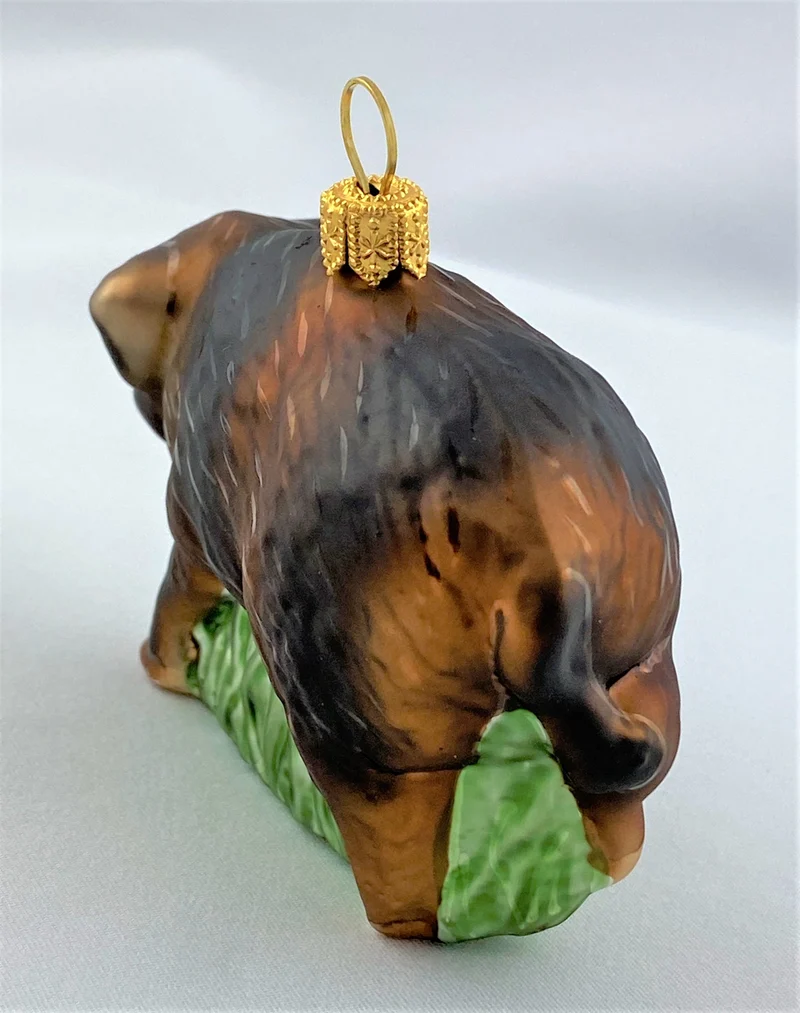 Braunes Wildschwein