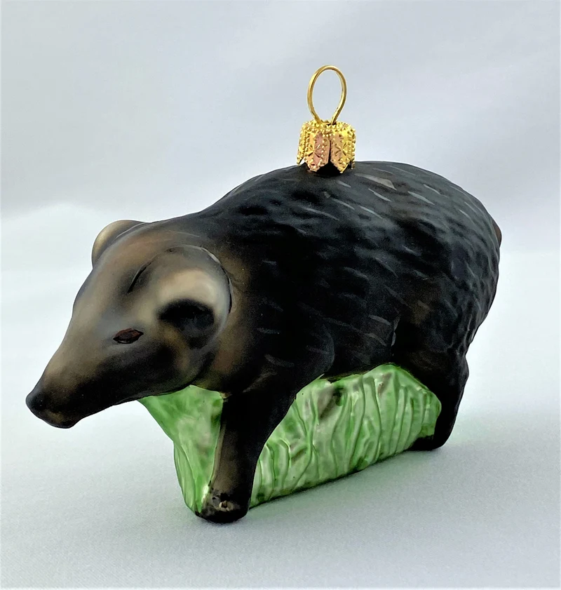 Schwarzes Wildschwein