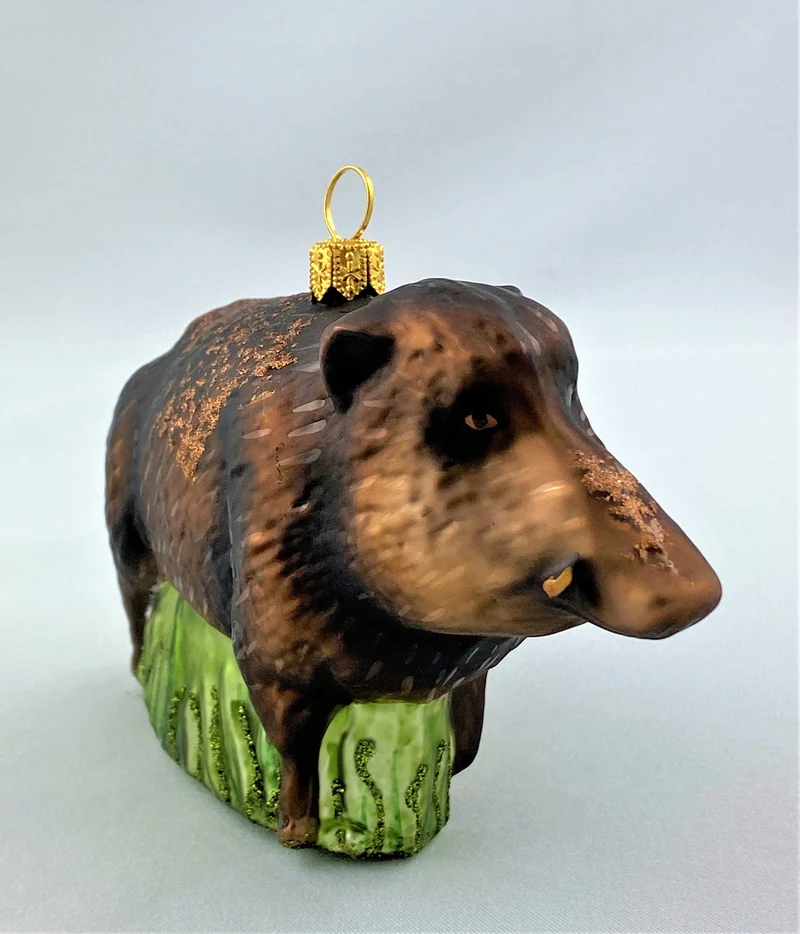 Brauner Keiler, Wildschwein