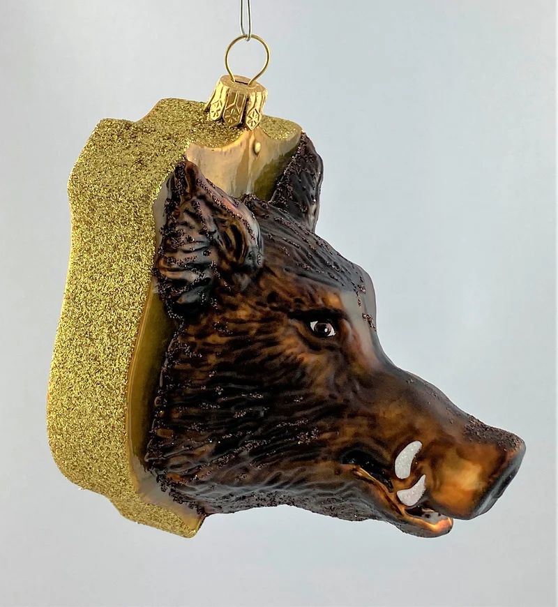 Wildschwein Trophäe