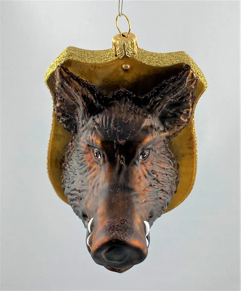 Wildschwein Trophäe