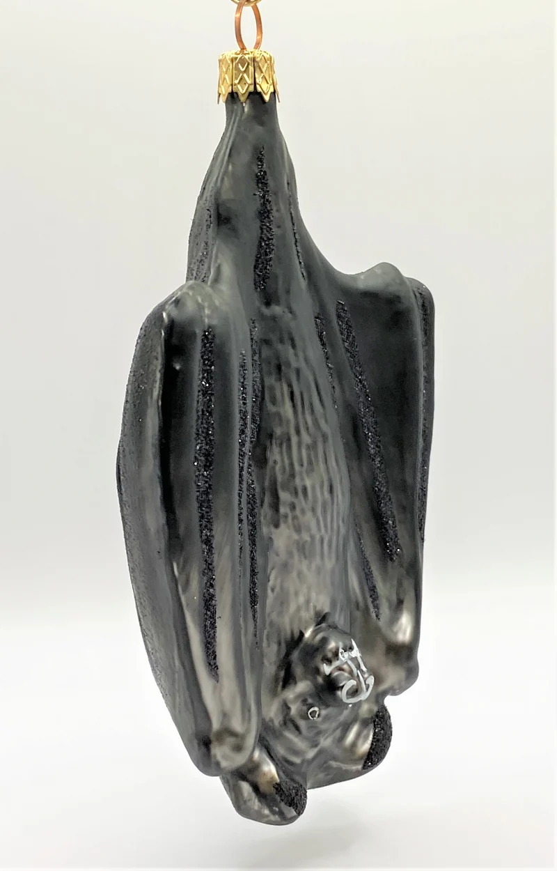 Schwarze Fledermaus