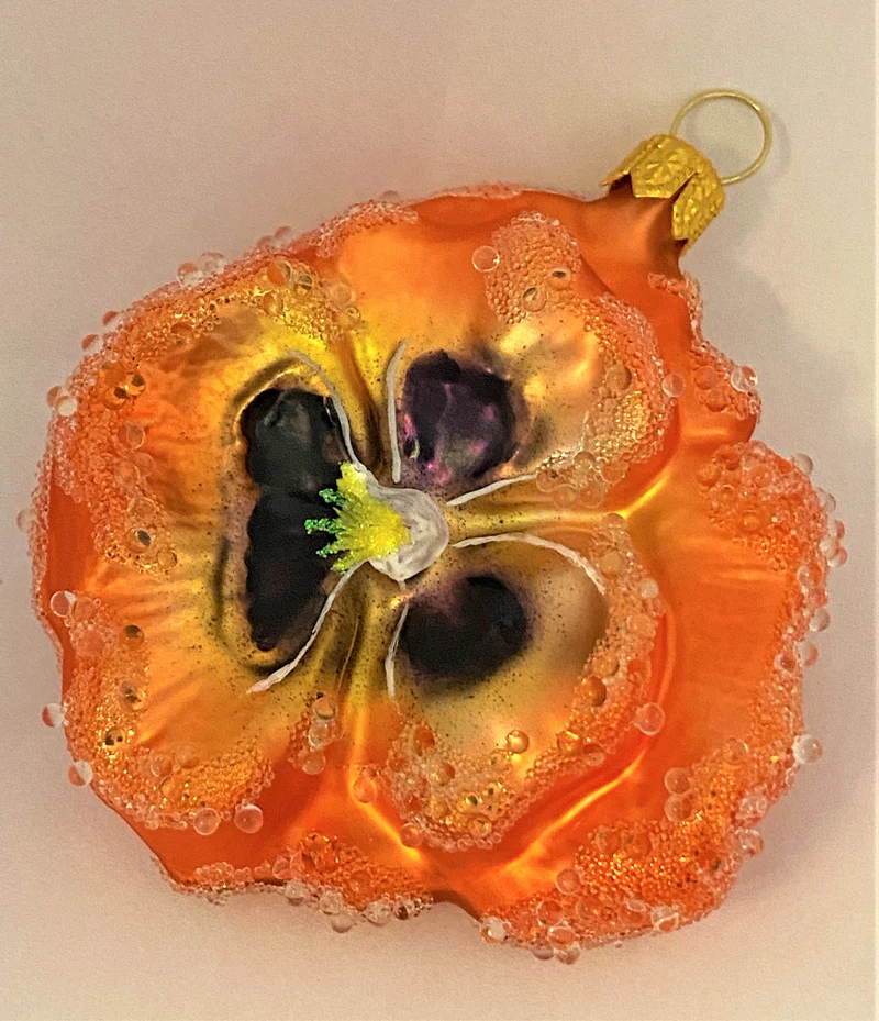 Stiefmütterchen orange, Pansy