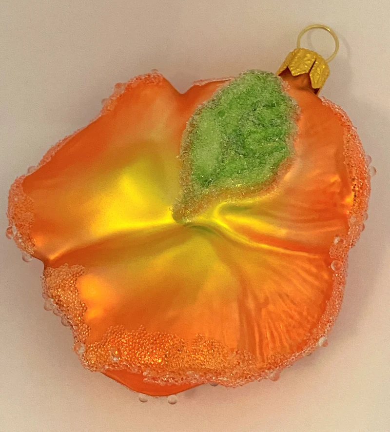 Stiefmütterchen orange, Pansy