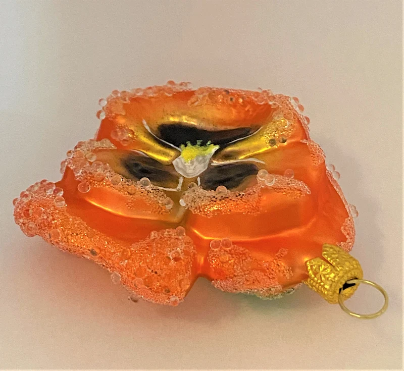 Stiefmütterchen orange, Pansy