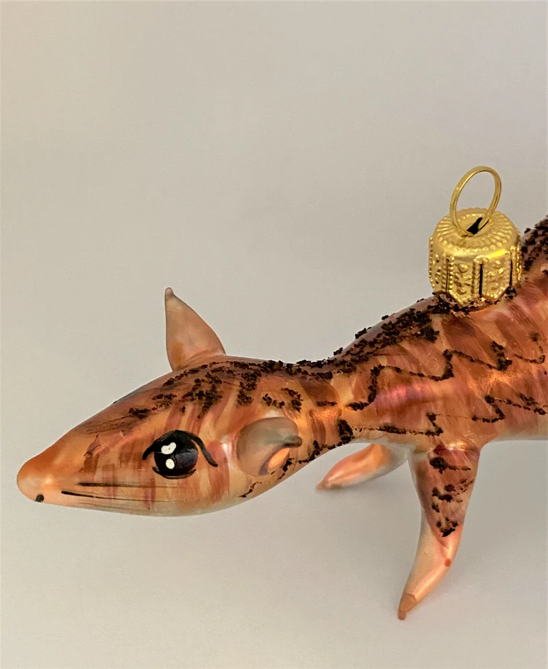 Braune Ratte mit weissem Bauch