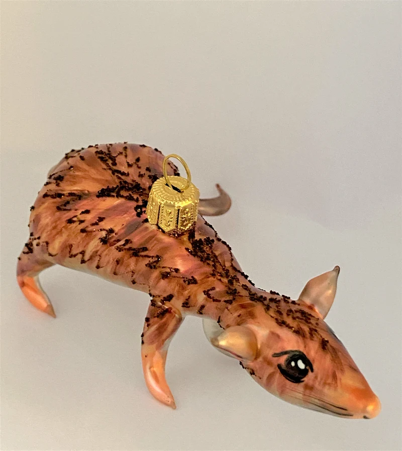 Braune Ratte mit weissem Bauch