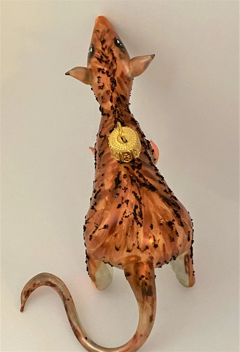 Braune Ratte mit weissem Bauch