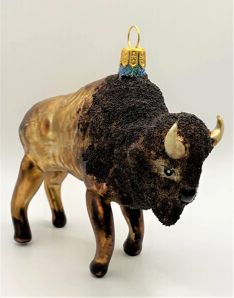 Bison