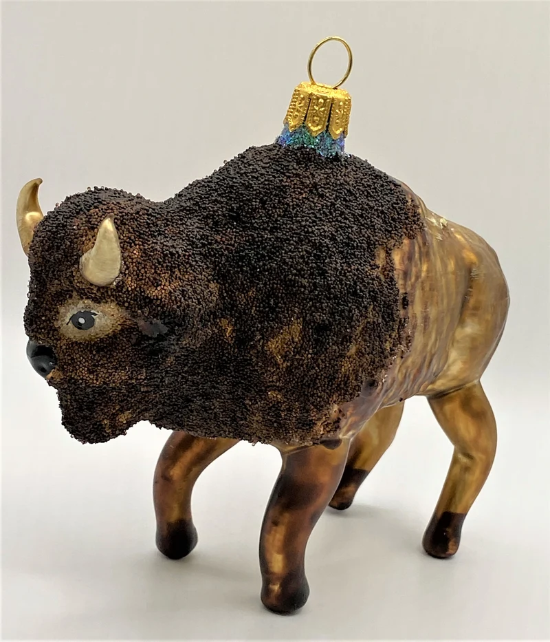 Bison