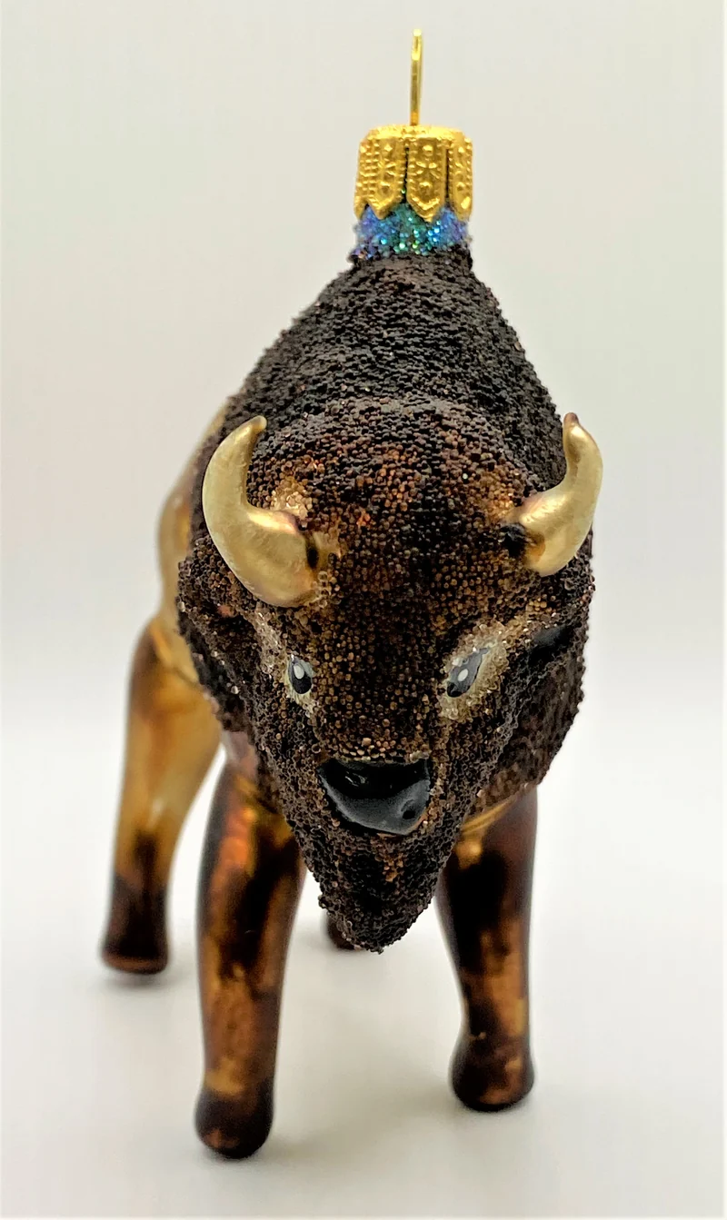 Bison