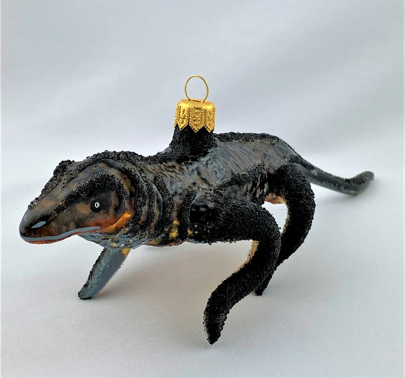Grosser Komodo-Waran