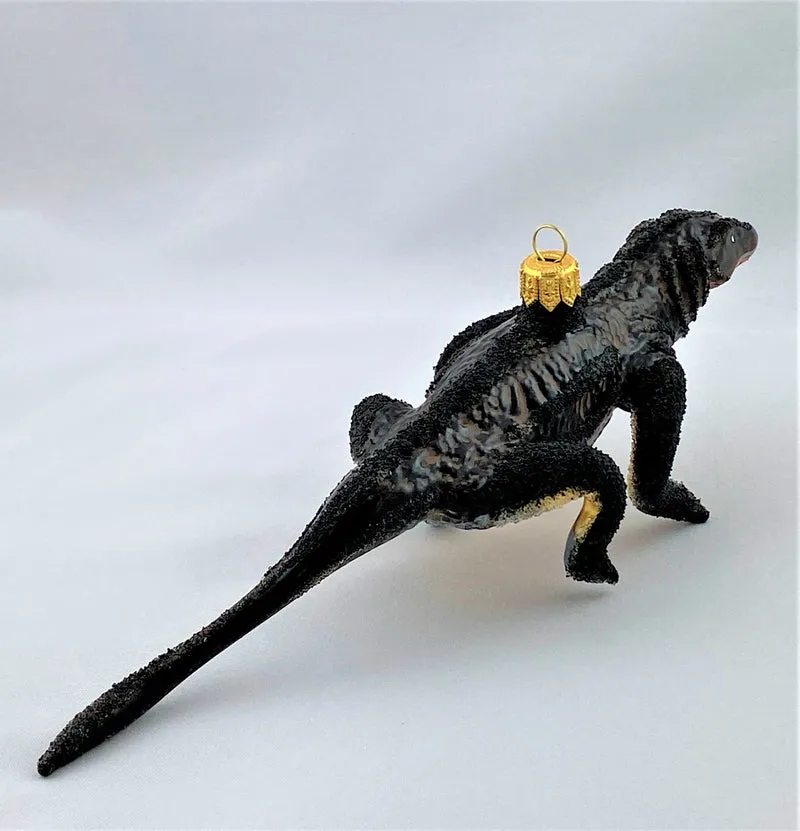 Grosser Komodo-Waran