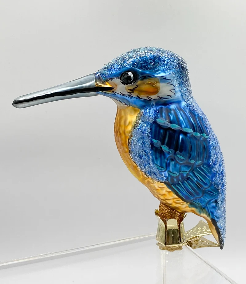 Grosser Eisblauer-Eisvogel auf Clip