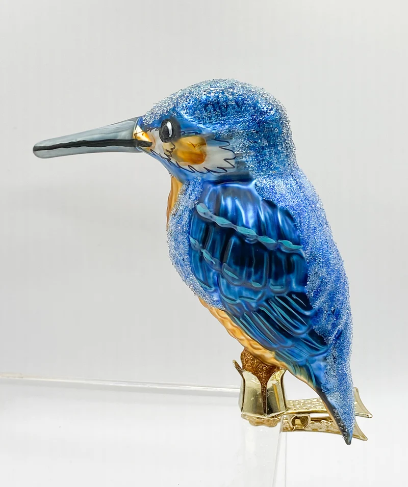 Grosser Eisblauer-Eisvogel auf Clip