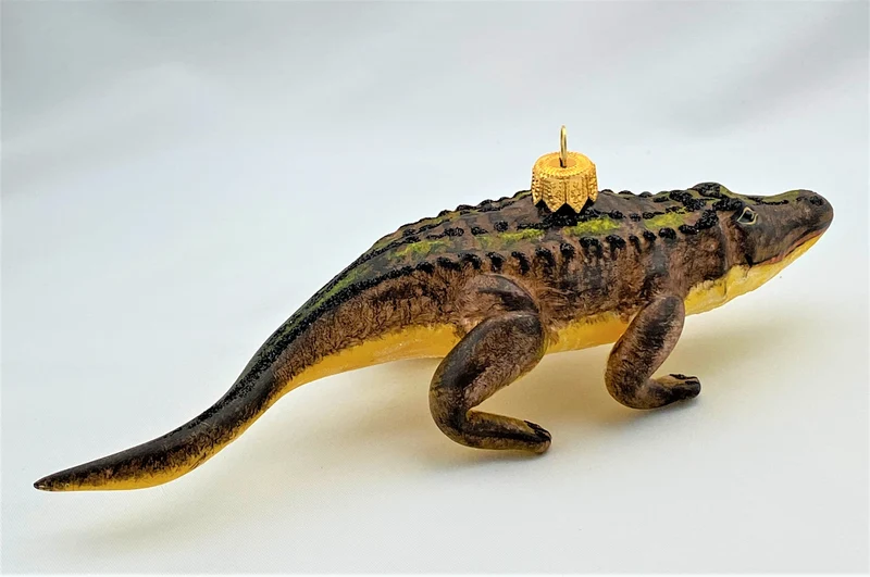 Grosses Krokodil