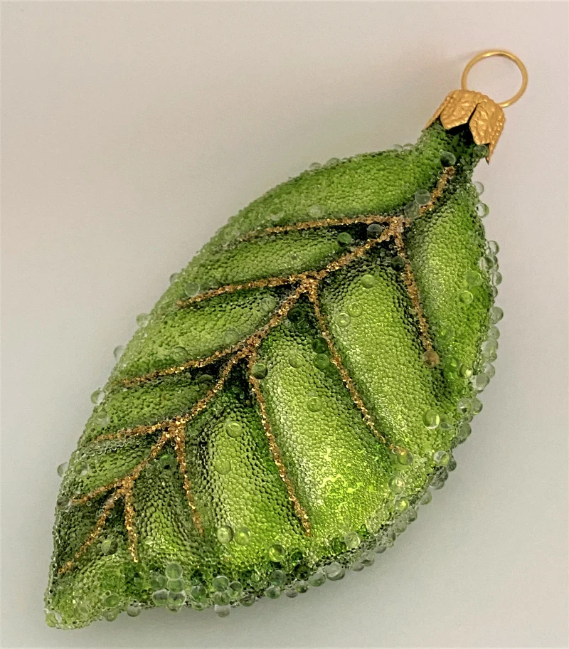 Apfelbaum-Blatt Frost