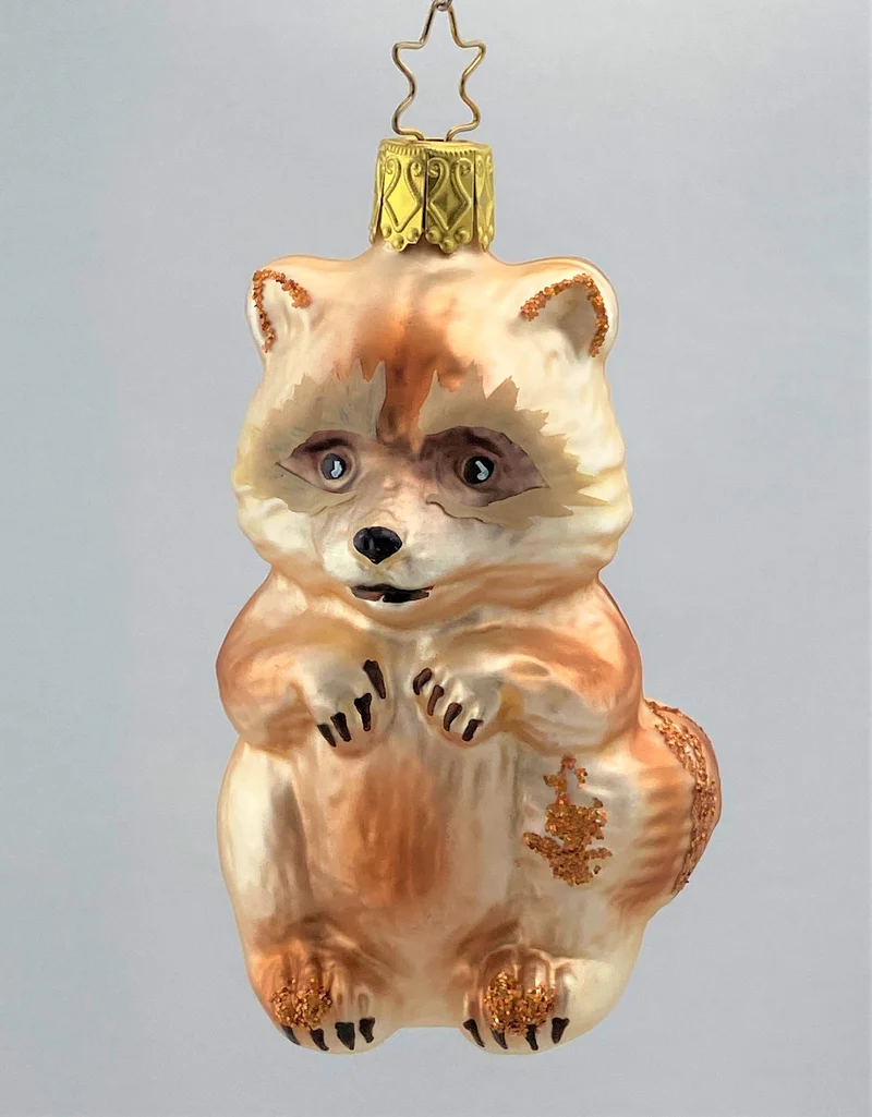 Brauner Waschbär
