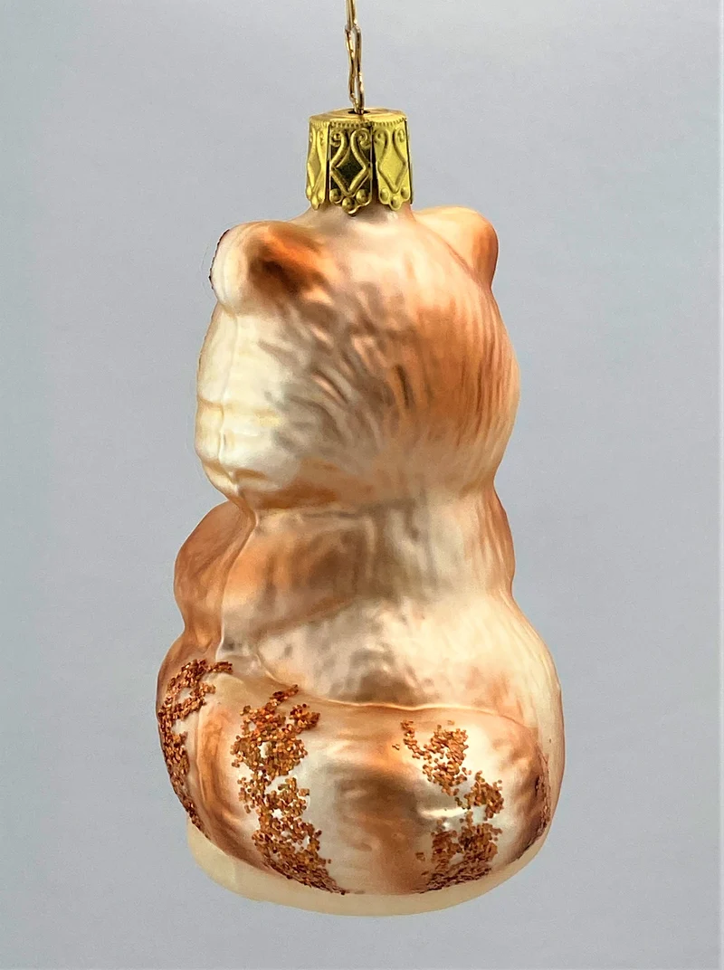 Brauner Waschbär