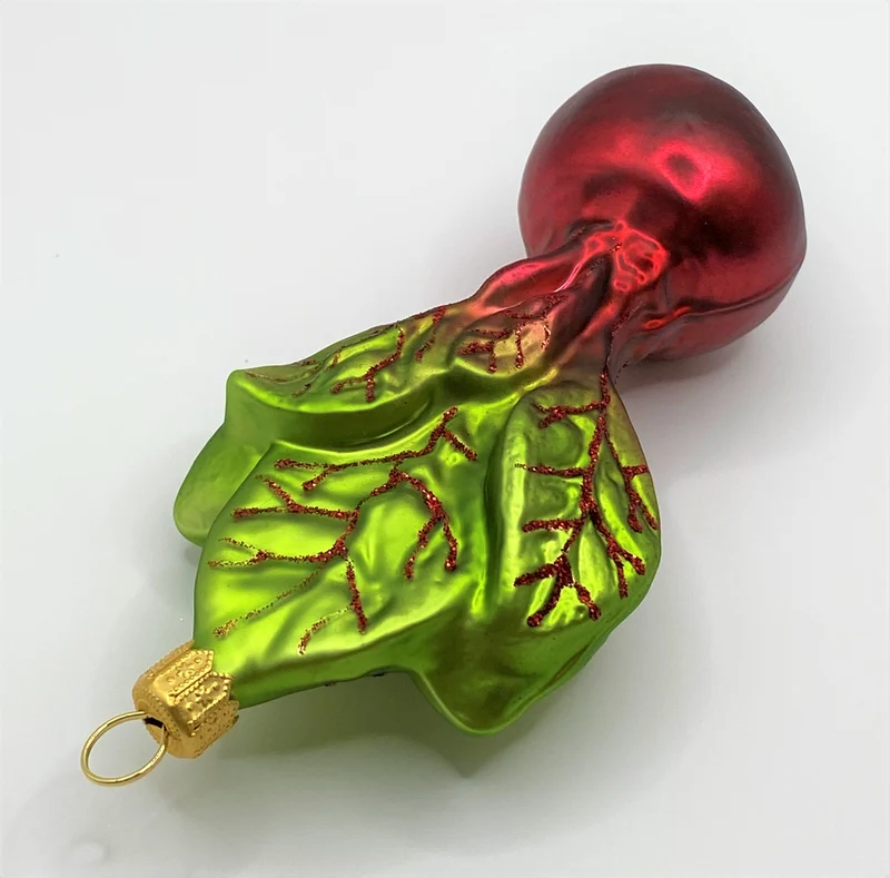 Randen mit Kraut, Rote Beete