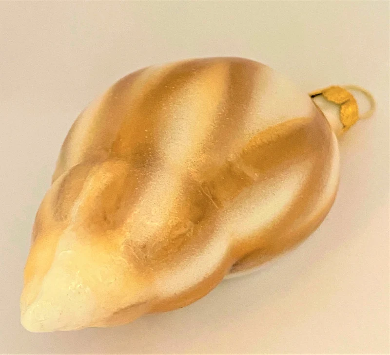 Meeresschnecke