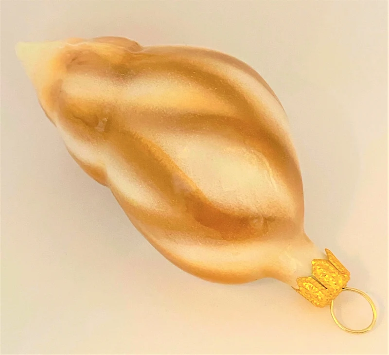Meeresschnecke