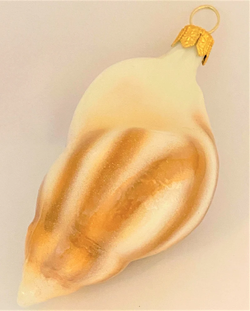 Meeresschnecke