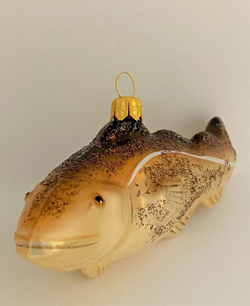 Kabeljau Fisch