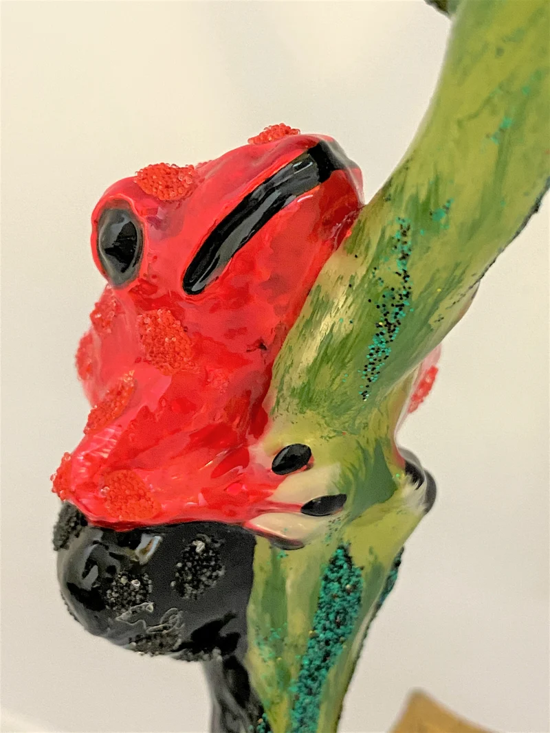 Rot schwarzer Regenwald Frosch auf Clip