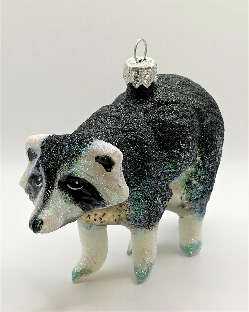 Waschbär