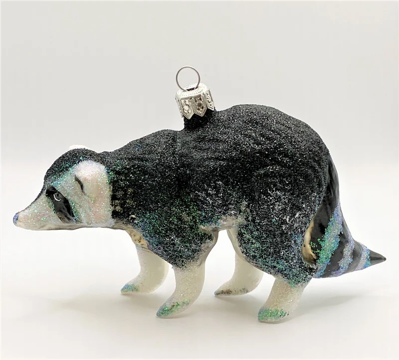 Waschbär