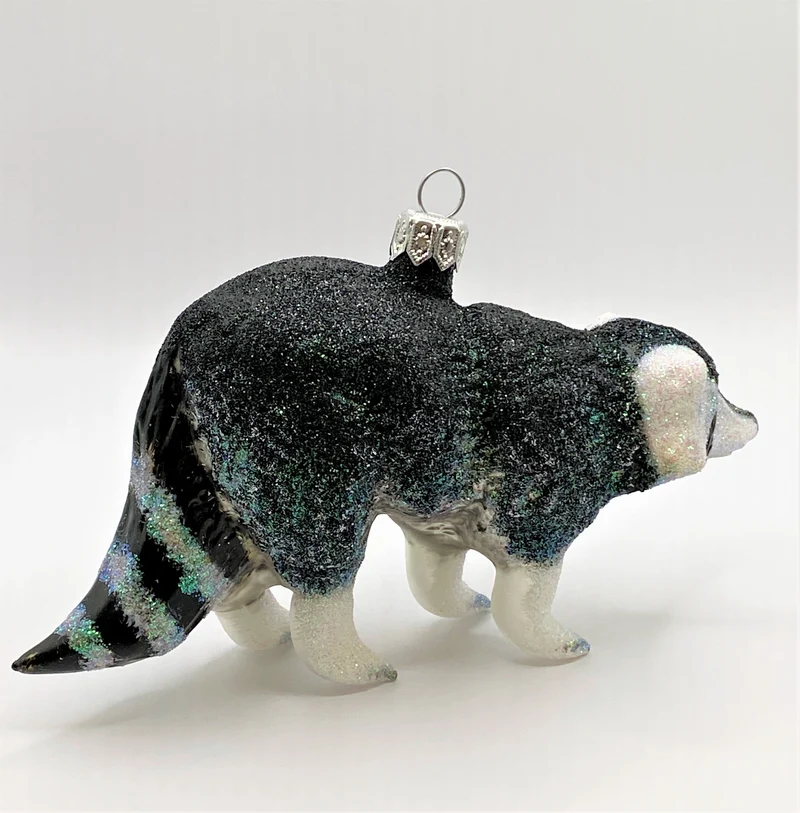 Waschbär