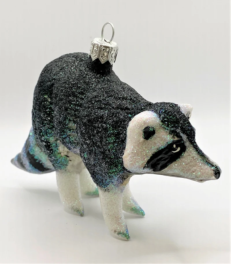 Waschbär