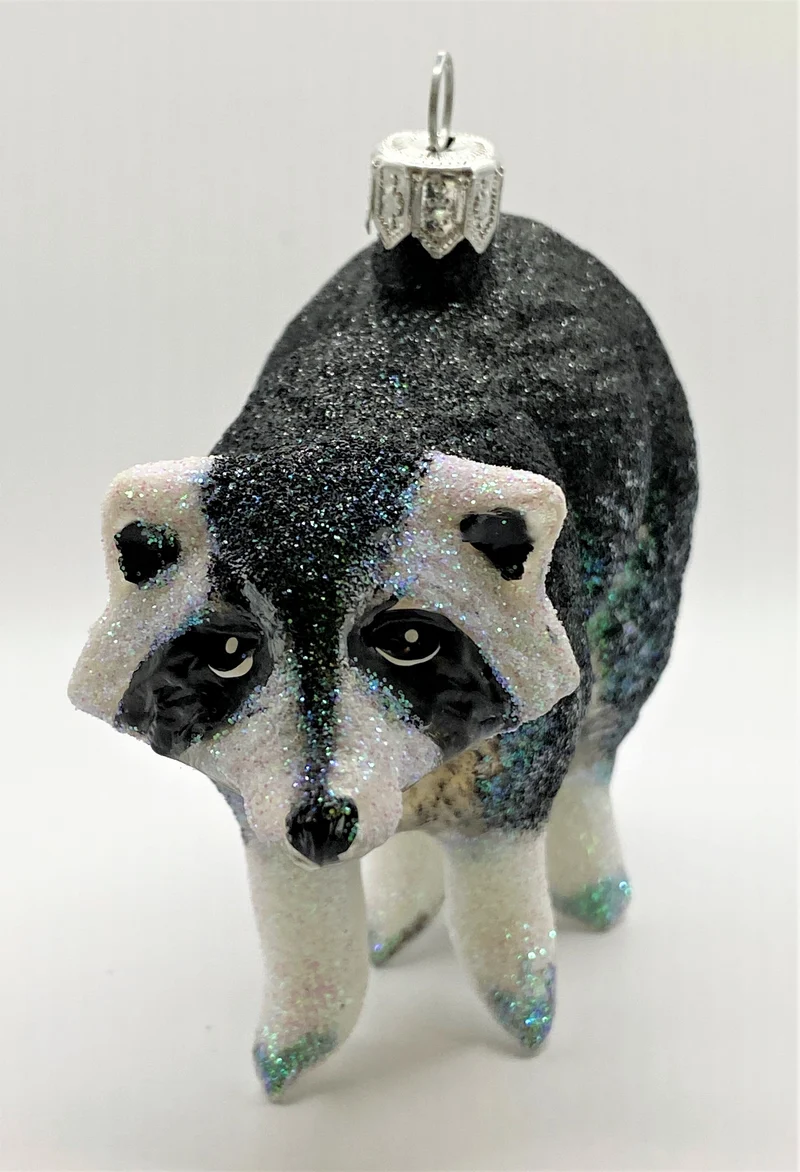 Waschbär
