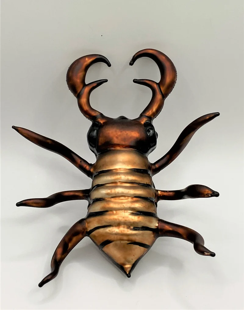 Brauner Hirschkäfer
